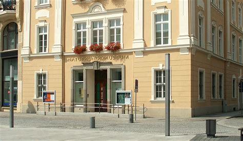 Der Fr He Vogel Kann Fr Her Ins Museum Senckenberg Gesellschaft F R