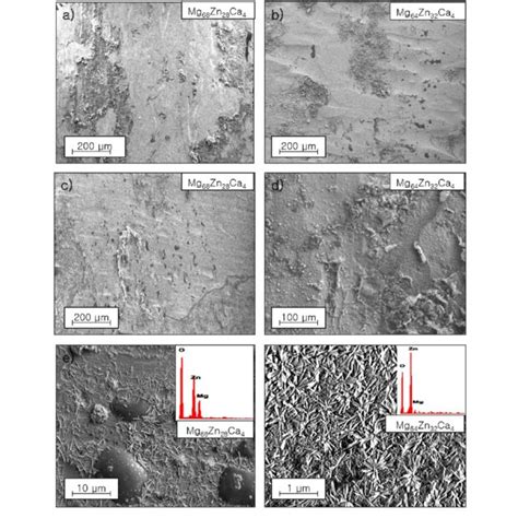 Surface Structure Sem Of Mg 68 Zn 28 Ca 4 And Mg 64 Zn 32 Ca 4