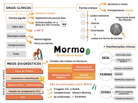 Mormo sinais clínicos e meios diagnósticos Clínica Médica de Eqüídeos