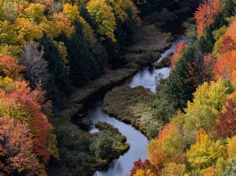 Michigan Fall Foliage- 12 Places for Fall Colors in Michigan