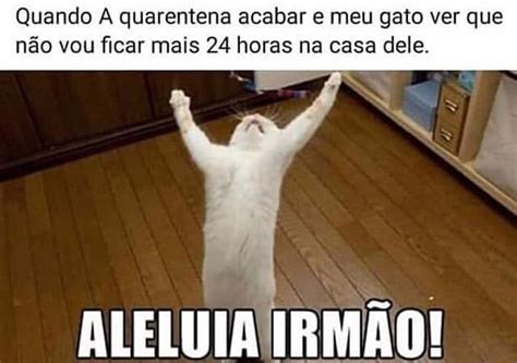 Quando A quarentena acabar e meu gato ver que não vou ficar mais 24