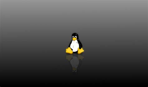 Linux Kernel Disponibile La Prima Point Release Linux Freedom