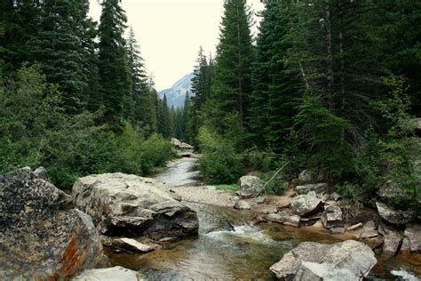 Fly Fishing Report On Clear Creek The Perfect Fly Store