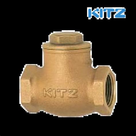 Kitz Check Valve Akr Series Eastman