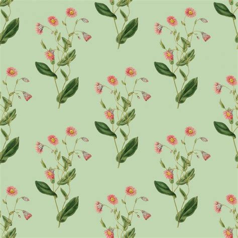 Floral Vintage Wallpaper Pattern Free Stock Photo - Public Domain Pictures