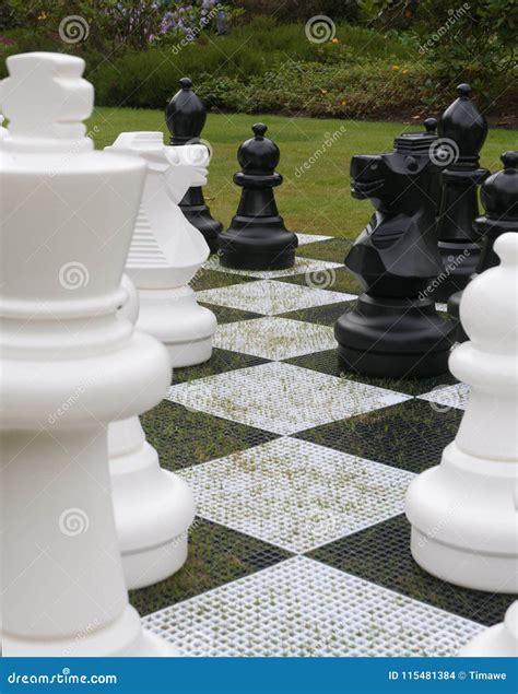 Giant Chess Set stock photo. Image of garden, knoght - 115481384