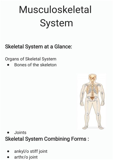 Solution Musculoskeletal System Studypool