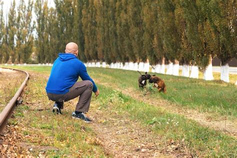 Um homem em uma caminhada lança um apport para seus dois cães da raça