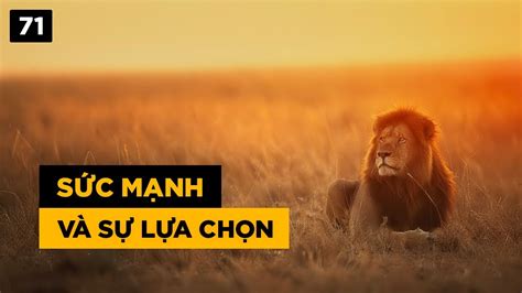 Sức Mạnh và Sự Lựa Chọn YouTube