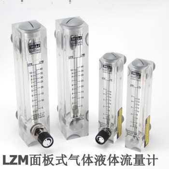 LZM面板式流量计 有机玻璃转子浮子流量计 气体液体流量调节计 液体 LZM 25 10 120升 每分钟 图片 价格 品牌 报价 京东