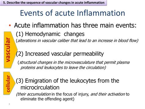 Dr Maha Arafah Inflammation And Repair Lecture 2 Ppt Download