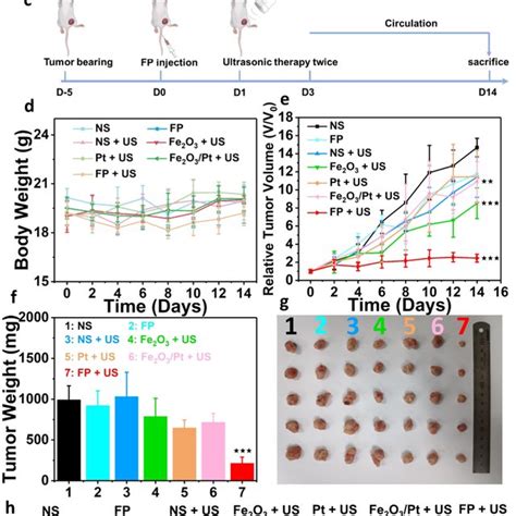 In Vivo Biodistribution And Biosafety A Blood Clearance And Blood