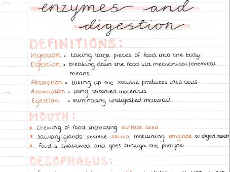 AQA A Level Biology Topic 3 Notes Teaching Resources