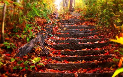 Fall Nature Wallpapers