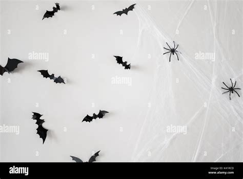 Halloween Decoration Of Bats And Spiders On Web Stock Photo Alamy