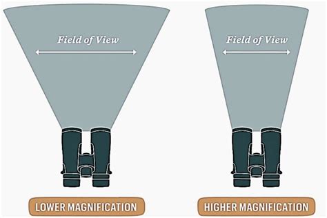 8X32 vs. 10X42 Binoculars — Comparison & Purposes - BinocularsDesk