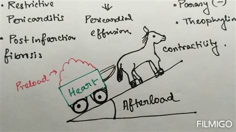 Cardiac Output Frank Starling Law Revision Series Basic