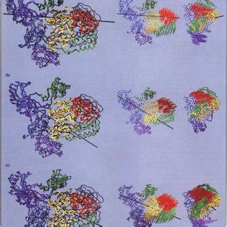 pairwise superpositions    structure