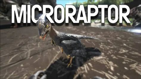 Ark Microraptors How To Tame Feed And Breed