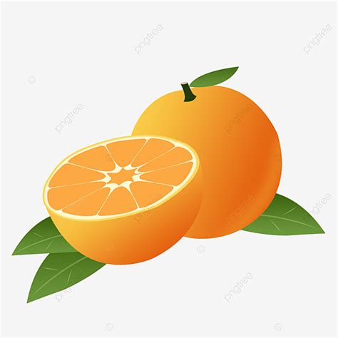 Naranja Dibujo