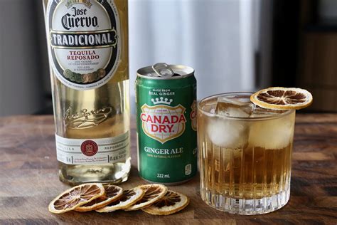 Easy Tequila Ginger Ale Cocktail Drink Recipe | dobbernationLOVES