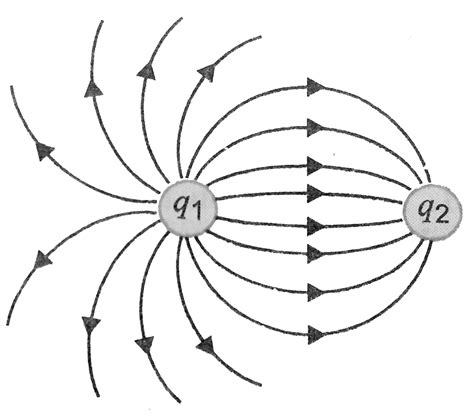 What Is The Ratio Q1 Q2 At Thomas Disanto Blog