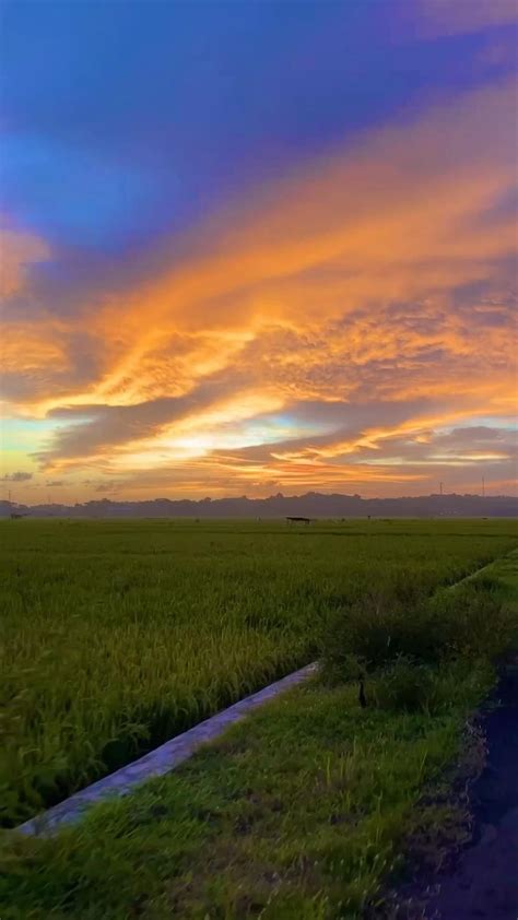 Pin Oleh ℭ𝔯𝔶𝔅𝔞𝔟𝔶 Di Langit Fotografi Alam Gambar Alam Estetika Alam