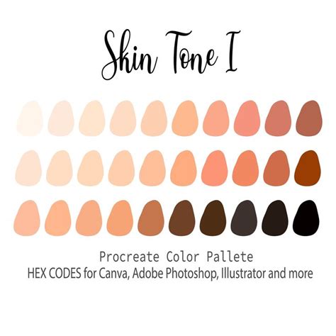 Skin Tone I Procreate Color Palette Hex Codes Procreate Swatches