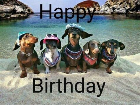 Pin By Ghostlywerewolf On Birthday Funny Happy Birthday Pictures Dachshund Dachshund Love