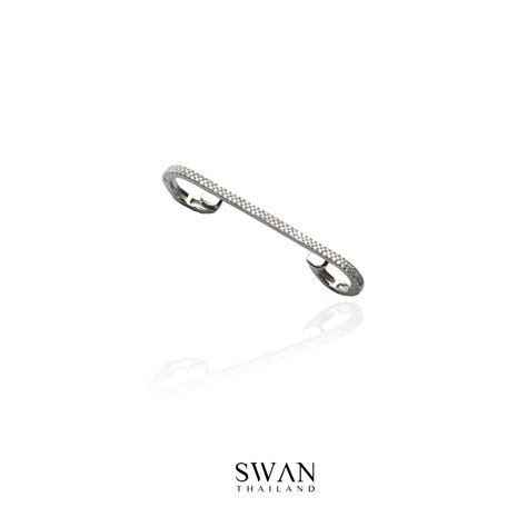 Shop - Swan