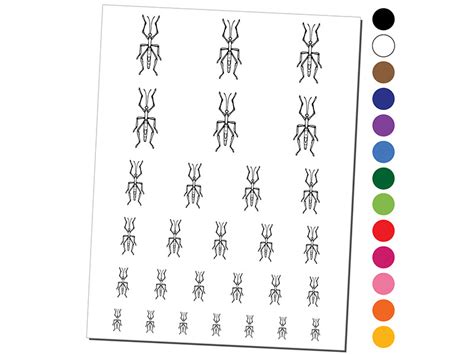 Walking Stick Bug Insect Flat Temporary Tattoo Water Resistant Fake