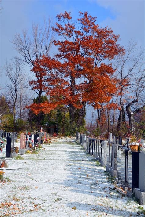 Graves In Notre Dame Des Neiges Cemetery Editorial Image Image Of