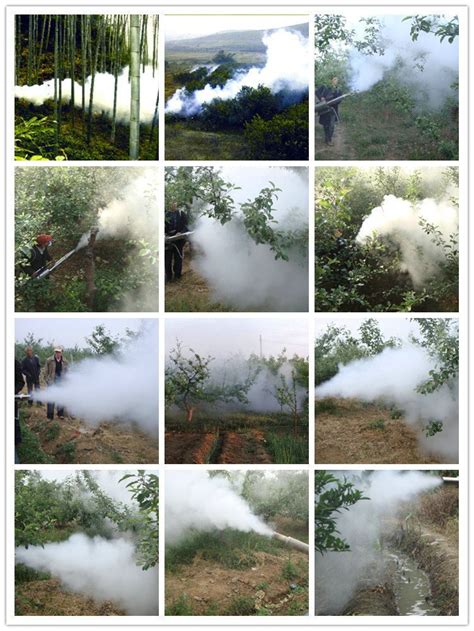 China Portable Fumigation Pest Control Thermal Fogger Machine