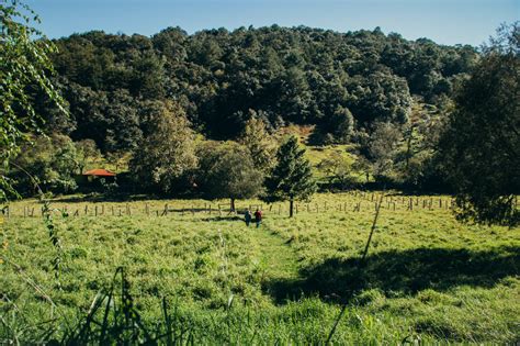 Descubre El Quer Taro Natural Con Sierra Gorda Ecotours Turismo Del