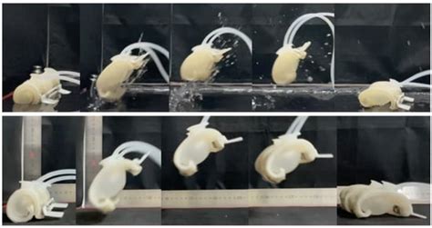 Applied Sciences Free Full Text Soft Jumping Robot Using Soft