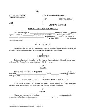 Original Petition Form Complete With Ease Airslate Signnow