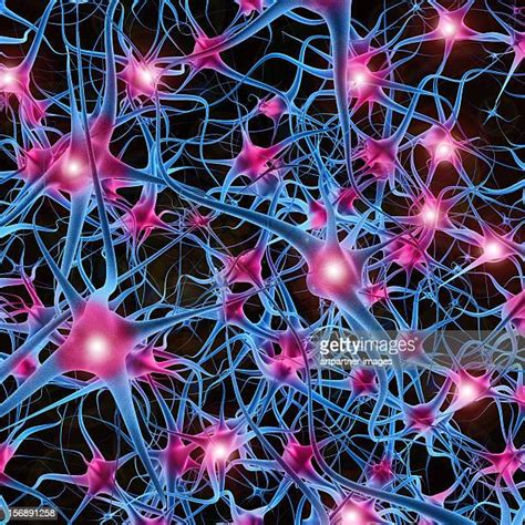 Synapse And Neuron Cells Foto E Immagini Stock Getty Images