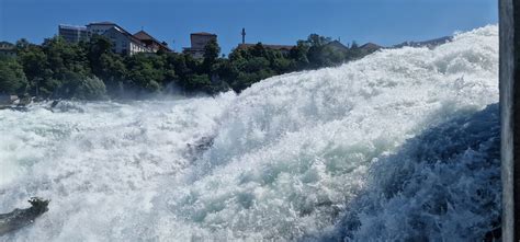 Rhine Falls Tour From Zurich Zurich Switzerland TourMega