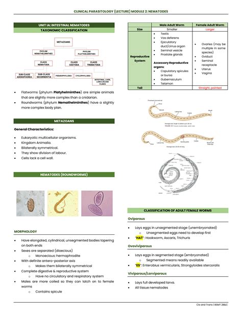 SOLUTION Parasitology Lecture 2024 M2 Intestinal Nematodes Studypool