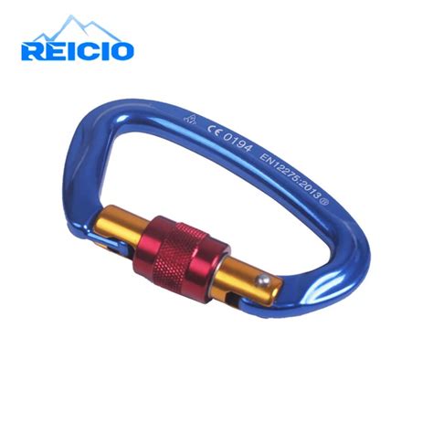 Buy Reicio 24kn Professional Safety Master Lock D