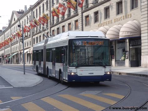 Bel Air Ligne Tpg Bus Pictures