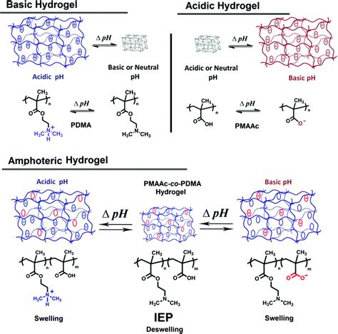 Ph Responsive Polymers Polymer Chemistry Rsc Publishing Doi