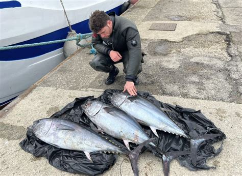 Controlli Sulla Filiera Della Pesca Sequestrati 425 Kg Di Prodotto