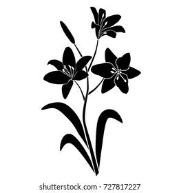 Silhouette Freesia Flower Black White Illustration Stock Vector