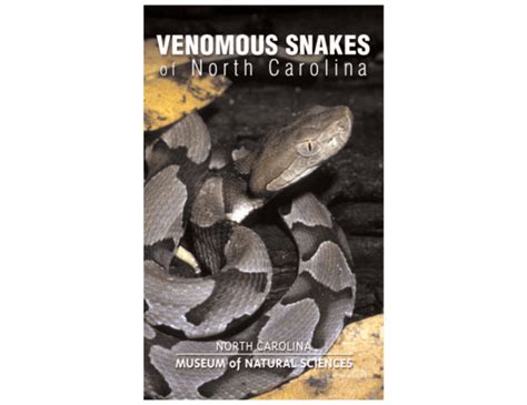 Venomous Snakes of NC - North Carolina Museum of Natural