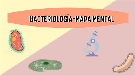 Mapa Conceptual De La Bacteriologia Cuanci The Best Porn Website