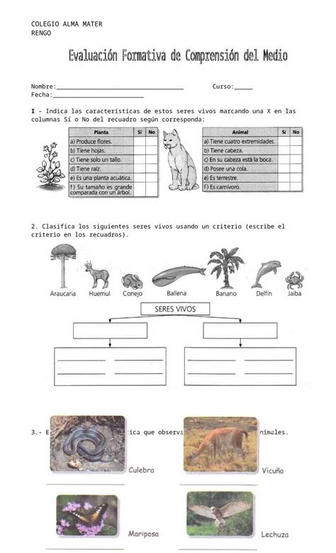 Doc Evaluacion Formativa Seres Vivos Doc Dokumen Tips