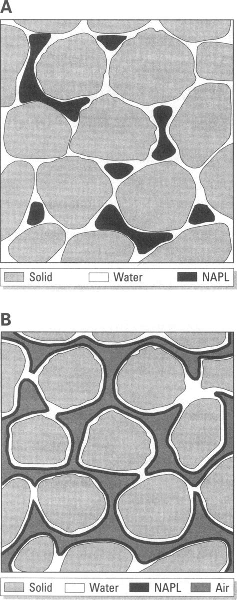 Hypothetical Distribution Of Residual Napl In The Saturated A And