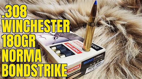 308 Winchester Norma 180gr Bondstrike YouTube