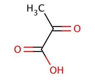 Pyruvic Acid CAS 127 17 3 SCBT Santa Cruz Biotechnology